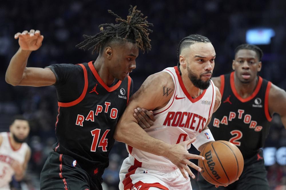 迎来与新西 迎来与新西